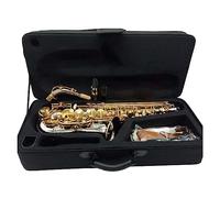 Alto Saxophone Nickel Plated Body Gold Key Professional Alto Sax With Case Mouthpiece Saxophone for Student