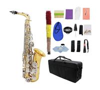 Alto Saxophone Sax Glossy Brass Engraved Eb E-Flat Wind Instrument With Case Mute Gloves (Color : Gold white)