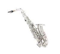 Alto Saxophone Set Eb Woodwind Instrument Silver Key E Flat Including Portable Bag Mouthpiece Cleaning Brush Beginner Saxophone