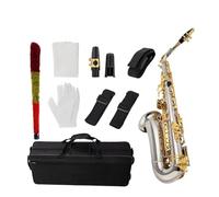Alto Saxophone Wind Instrument E-drop Beginner Adult Professional Performance Grade Saxophone Full Set Accessories (Color : Silver)