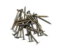 Aluminium Clout Nails 50mm x 3.35mm Roofing Nails Aluminium Large Head Roofing Felt Clout Nails Rustproof Aluminium Clout Nail, Roofing Felt Clout Nails, Roofing Felt Nail Tacks Sheds - 25 Nails