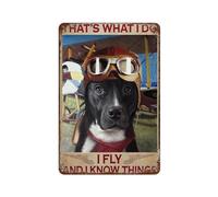 Aluminium Metal Tin Sign Wall Decor Great Dane Dog That‘S What I Do I Fly And I Know Things Dog Lover Metal Sign Plaque Retro Kitchen Decor Coffee Wall Art 8 x 12 Inch