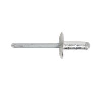Aluminium Multi-Grip Rivet Large Flange 4.8 x 27mm Pack of 100 - Sealey RM4827L
