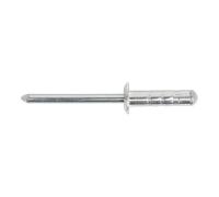 Aluminium Multi-Grip Rivet Standard Flange 4.8 x 19mm Pack of 200 | RM4819S Seal
