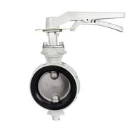Aluminum Alloy Butterfly Valve with Handle,Turbine Fine and Small,Stainless Steel Valve Plate 1.6mpa in Stock Anti-Condensation(16LEBD DN65)