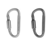 Aluminum Alloy D Carabiner Clip D Shape Gate Small Keychain Carabiner Outdoor Camping Snap Hook Climbing Lock L Large
