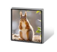 Aluminum Alloy Lapel Pin Cute Funny Square Brooch Personalized Squirrel Funny Animal Lapel Badge Sublimation Pins for Clothing Backpack Hat Jackets Decoration