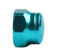 Aluminum Alloy Spindle Nut Screw 8x5mm Compatible with For DAIWA For ABU For HISTAR DMK Casting Fishing Reels for Maintenance and Custom Tuning (Lake blue Left)