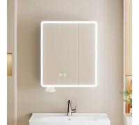 Aluminum Bathroom Mirror Cabinet with Hidden Shelf WallMounted 60x70cm for Bedroom Living Room Entryway Guest WCStylish and Functional Storage Solution