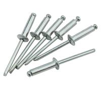Aluminum Blind Rivets with Large Flange,Head M3.2 6-16mm 50pcs