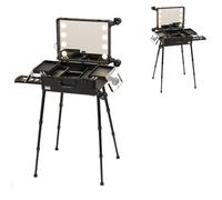 Aluminum Cosmetic Case with Dividers Makeup nizer Trolley Beauty Travel Case Professional Makeup Train Case with Shelf Ideal for Artists and Beauty Enthusiasts