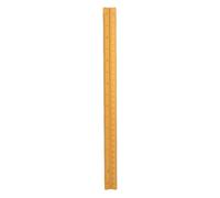 Aluminum Engineer Scale Triangle, 30cm, Multi - Scale 1:20 to 1:125, Gold - Durable Construction, High Accuracy for Architects and Engineers (Gold)