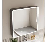 Aluminum LED Bathroom Vanity Mirror with Storage & Anti-Fog Touch Switch Smart Medicine Cabinet with Lights & Paper Holes Modern Mirror Cabinet.