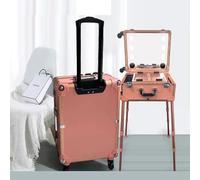 Aluminum Makeup Train Case with Light Up Mirror, Professional Portable Rolling Makeup Box for Artists, Free Standing Travel Case