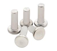 Aluminum Solid Rivet, Pack of 145 M2-M6 A2 304 SS Flat Round Head Solid Self Plugging Knock-on Rivet GB109(35mm,M6 5pcs)