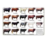 Aluminum Tin Sign Cattle Breed Introduction Posters Metal Wall Decor for Farm Bar Coffee Restaurant Kitchen Supermarket Meat Market Butcher Cuts Poster Plaque 12x8 inch