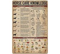 Aluminum Tin Sign Horse Care Knowledge Metal Poster Sign Vintage Wall Decor Metal Sign 6x8 Inch