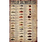 Aluminum Tin Sign Types Of Saltwater Fish Metal Sign Vintage Wall Decor Metal Sign 6x8 Inch