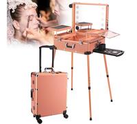 Aluminum Trolley Makeup Case,Professional Portable Rolling Makeup Train Case with Lighted Mirror,Make Up Artist Free Standing Box(Rosegold)