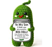 ALUNME Funny Crochet Pickle Gift for Son - Handmade Unique Birthday from Mom or Dad, Stocking Stuffer for or Adults, To My Son Gift Idea, Son-in-Law Present