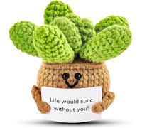 ALUNME Funny Gift with Inspirational Card, Handmade Crochet Succulent Emotional Support, Cute Knitted Stress Relief Gift for Positive Birthday Present for Friends & Adults