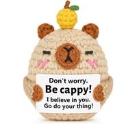ALUNME Funny Positive Crochet Animals Gifts - Handmade Crochet Capybara Decor for Birthday Graduation Christmas - Emotional Inspirational Support Gift for Women Men Coworker Friends(don't worry)