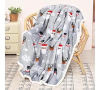 ALUNME Santa Snowman Reindeer Throw Blanket, Summer Blanket Lightweight Soft Plush Couch Blanket for Living Room, Breathable Cozy Blanket for Holiday Decor and Summer Lounging, 50x60 Inch