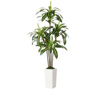 Alupssuc 6FT Artificial Dracaena Tree with White Tall Pot, Lifelike 5 Trunks Faux Artificial Plants Indoor, Large Fake Tree for Office Home Living Room Porch Patio Floor Decoration