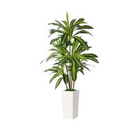 Alupssuc Artificial Dracaena Fake Tree 5FT, White High Pot Artificial Plants Indoor&Outdoor, Fake Plants for Office/Home/Living Room Potted Decoration, 5ft