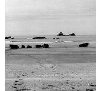 Alvarius B - B. Alvarius