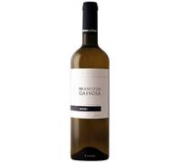 Alves de Sousa, Branco da Gaivosa, WHITE Wine, (case of 6x750ml), PORTUGAL/Douro