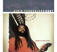 Alvin Youngblood Hart - Down in the Alley