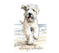 Always Wheaten: Soft Coated Wheaten Terrier Watercolor Notebook | 6x9 Hardcover, 120 Pages: A beach-inspired Wheaten Terrier notebook for notes, reflections, and everyday thoughts.
