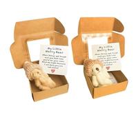 Alwodici 2Pcs Worry Bear Hug In A Box Little Pocket Bear Hug With Inspiring Card Mini Plush Teddy Bear In Box Positive Worry Dolls Pocket Hug Gift For Family Friend Kid To Express Companion,Miss,Love