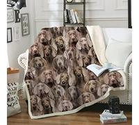 ALYOU 3D Print Super King Size Blankets Khaki Weimaraner, Ultra-soft Warm Puffy Flannel Throw Blanket, Versatile Throws Blankets 87"x94" for Bedroom Couch Bed Sofa Bedding (221x239cm)