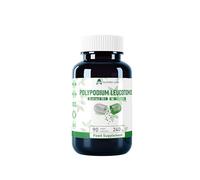 Alzuro Labs Polypodium Leucotomos | 2,400 mg Equivalent (240 mg 10:1 Extract) | 90 Vegan Capsules | High Dose Sun Protection from The Inside | 3 Month Supply | Laboratory Tested & GMP Certified