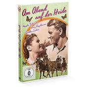 Am Abend auf der Heide