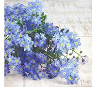 AM Décor 20 Count Soft 3-Ply Tissue Decoupage Luncheon Paper Napkins -13" x 13" (Unfolded) Forget Me Not