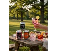 AM Drinks Gift Packs - Ready to drink Cans (The Botanical Gift Pack)