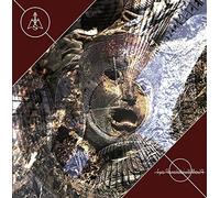 Am Not - The Developing World