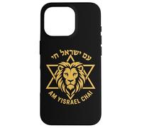 Am Yisrael Chai Lion Star of David Israel Symbol Case for iPhone 16 Pro