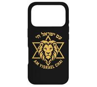 Am Yisrael Chai Lion Star of David Israel Symbol Case for iPhone 17 Pro