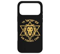 Am Yisrael Chai Lion Star of David Israel Symbol Case for iPhone 17 Pro Max