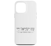 Am Yisrael Chai Support Jewish Pride Israeli Hebrew Case for iPhone 13 Pro Max