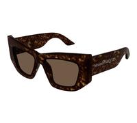 AM0448S 002 Woman Sunglasses Acetate Havana Brown Cat Eye