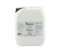 AMA SHAMPOO (5 LT)