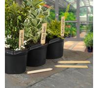 Amabassador 10 Wooden Bamboo Plant Labels With Pencil Garden Pot Markers 10Cm