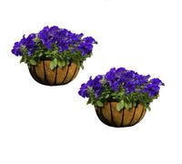Amabassador 2X Garden Wall Trough Planters & Coco Liners 16 Inch Wrought Iron Wall Basket
