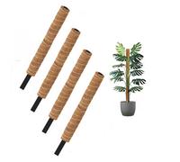 Amabassador 4X Coco Fibre Moss Pole Climbing Plant Support Cane Non Extendable 60Cm
