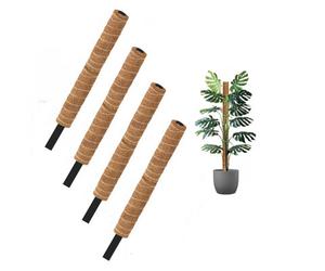 Amabassador 4X Coco Fibre Moss Pole Climbing Plant Support Cane Non Extendable 60Cm